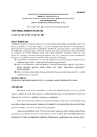 Vergi iö final.pdf
